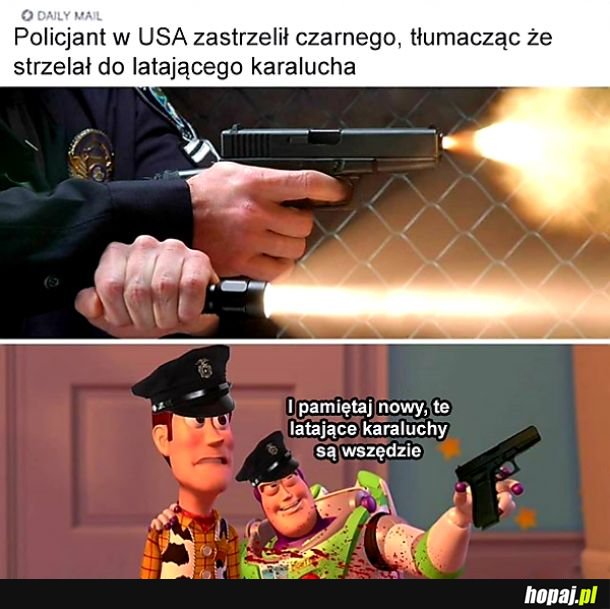 Policjant USA
