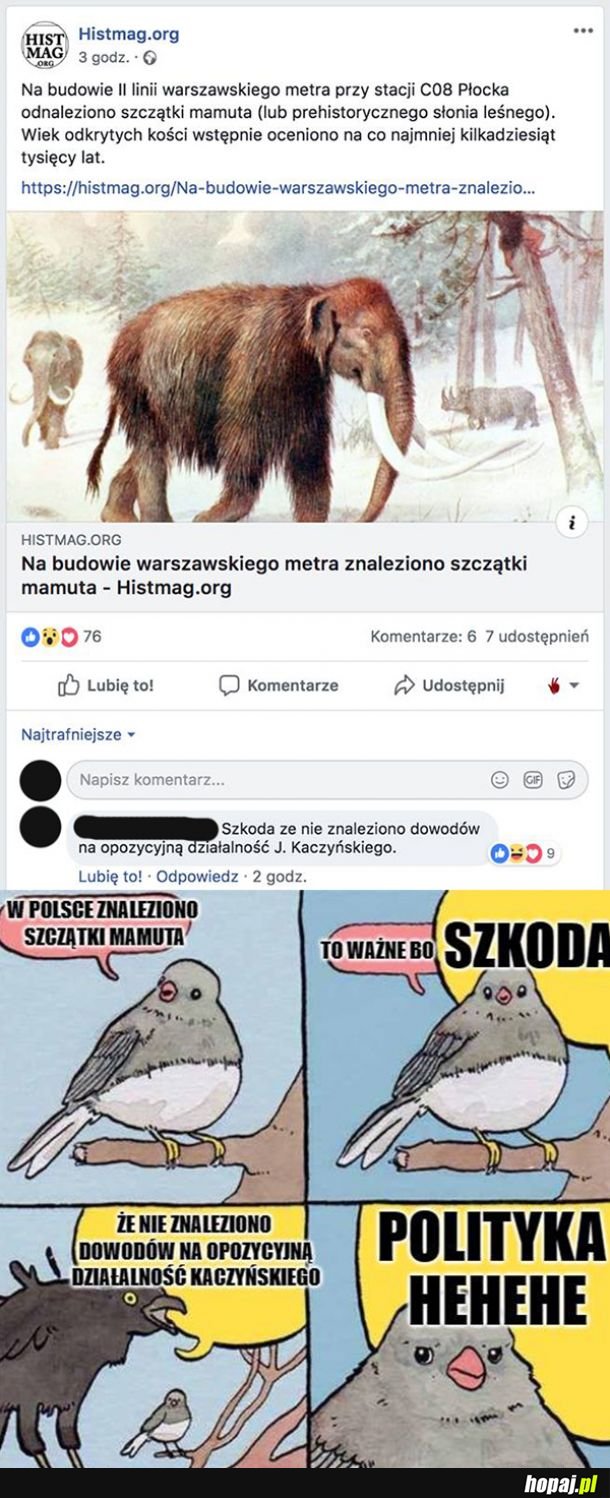 Polityka wszędzie