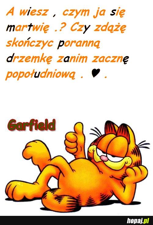 Wiesz czym się martwię?