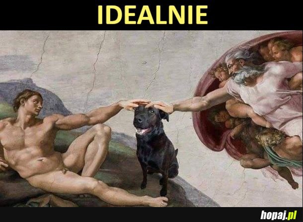Idealnie