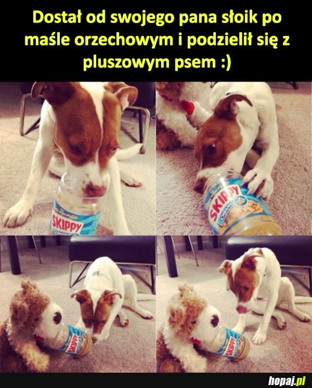 Dobry ziomek