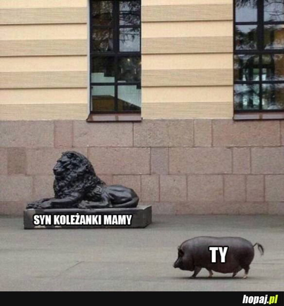 Syn koleżanki mamy