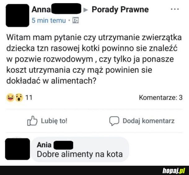 Pozew rozwodowy