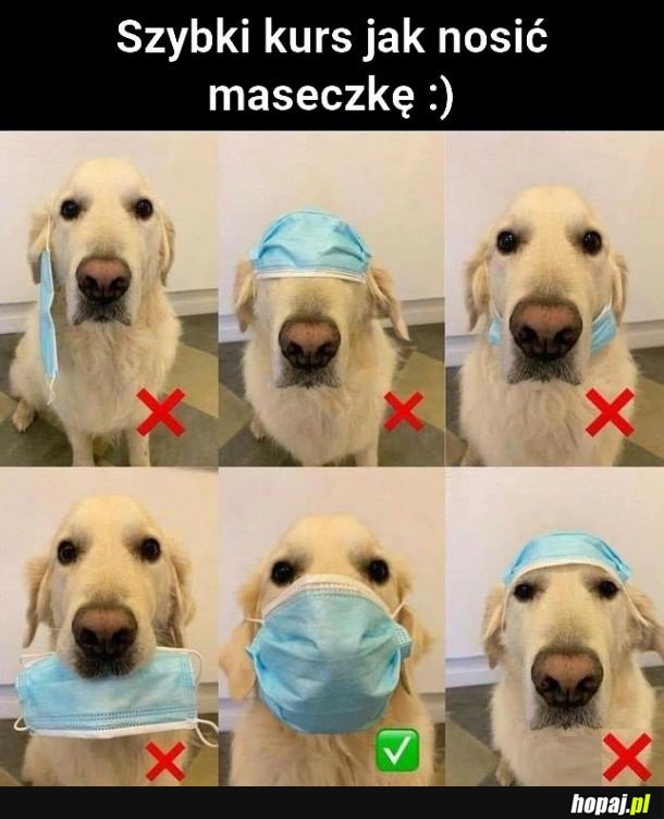 Jak nosić maseczkę