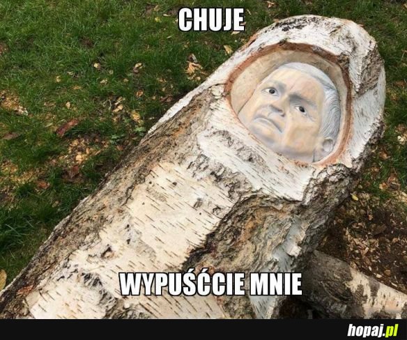 Ludzie pomóżcie