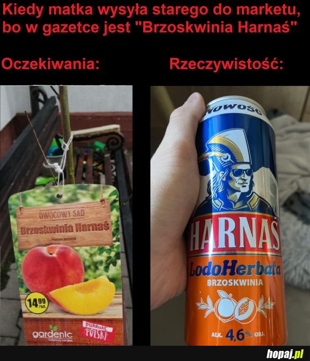 Harnaś brzoskwinia