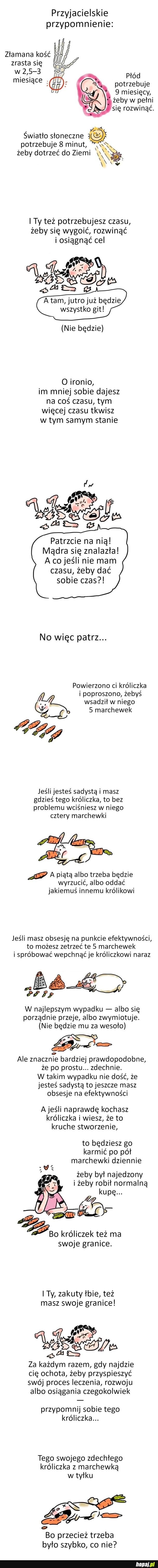 Historia o króliczku, która pozwoli ci zrozumieć jedną ważną kwestię