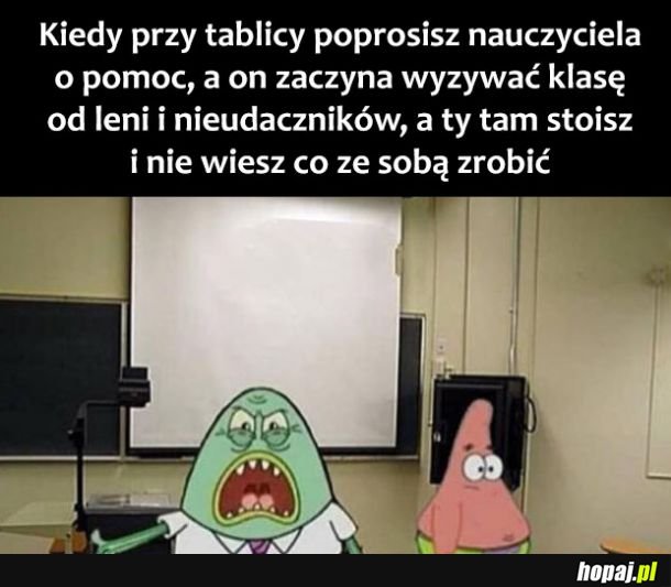  Nauczyciel 