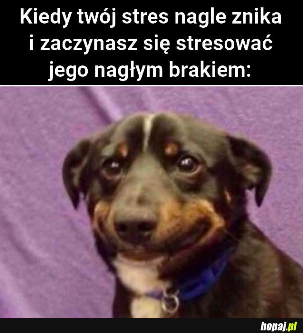 Cosiedzieje