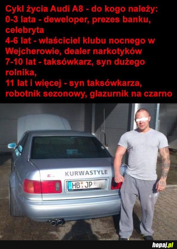 Cykl życia Audi