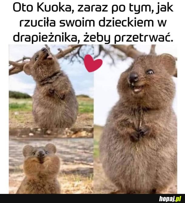 Dzień madki coraz bliżej.