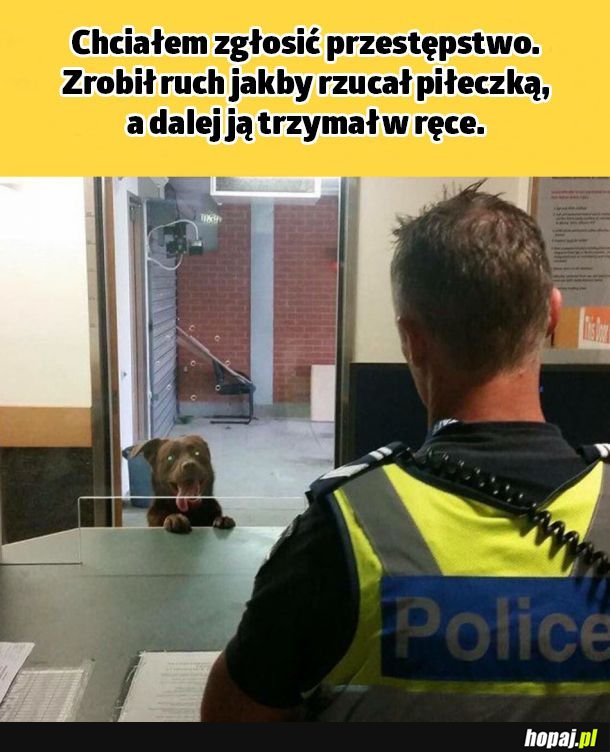 Proszę przyjąć zgłoszenie!