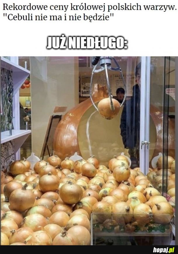 Automaty z cebulą