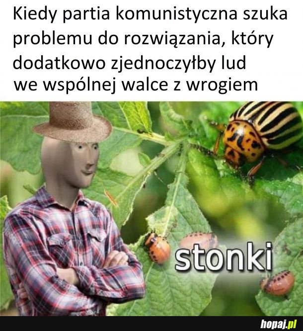 Stonki