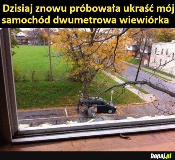 Gigantyczny złodziej