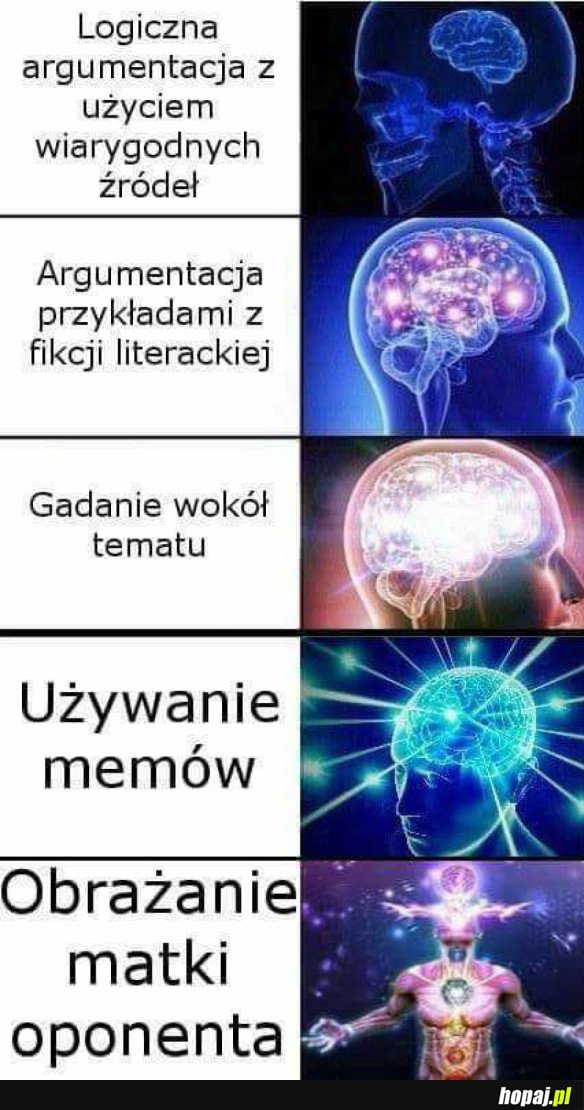 KŁÓTNIA W INTERNECIE