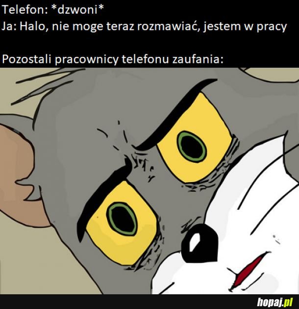 Zawracają głowę