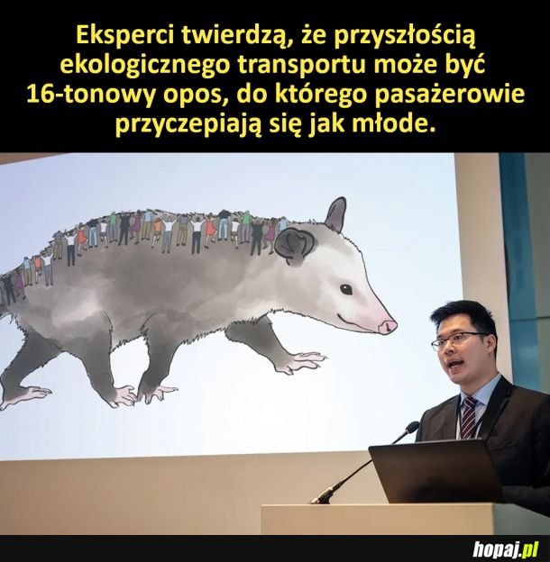 Przyszłość ekologicznego transportu