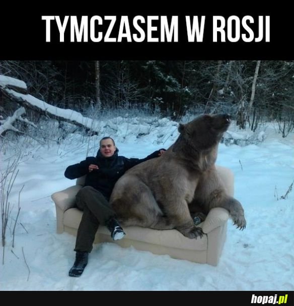 Tymczasem w Rosji