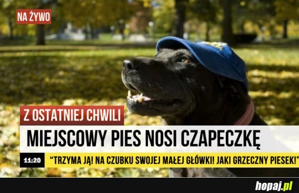 ŁAMIĄCA WIADOMOŚĆ