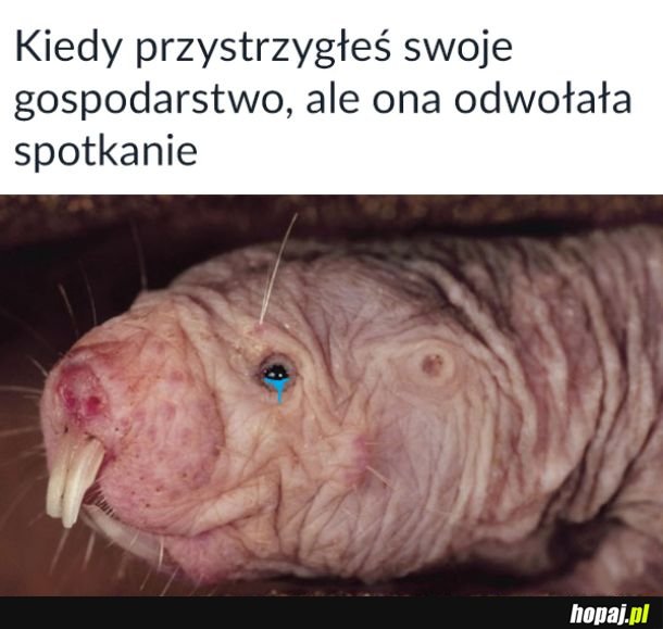  Smuteczek 