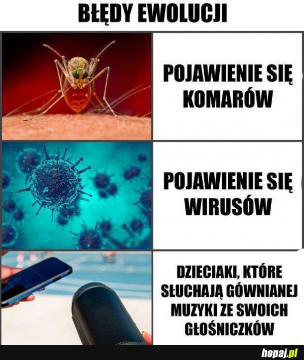  Błędy ewolucji 