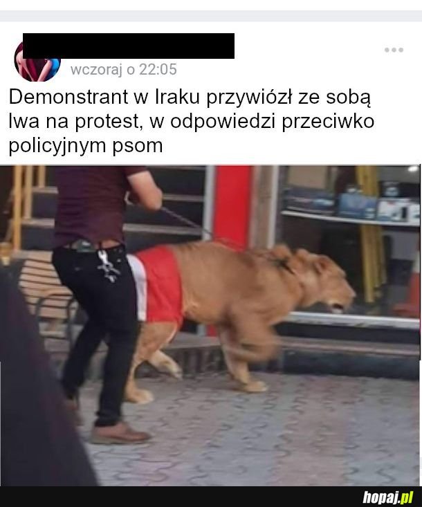 Opinia publiczna ma to w...