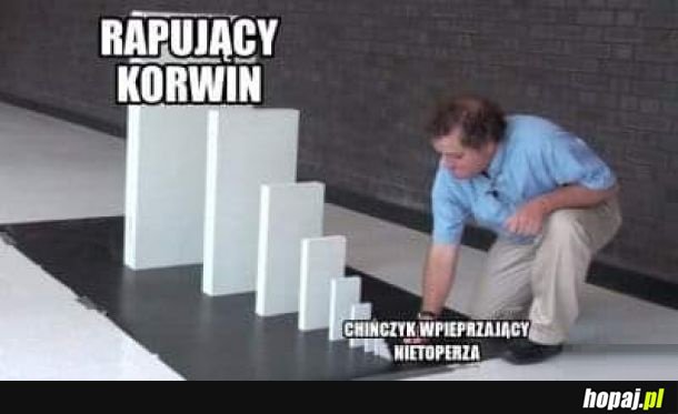 Korvid 19