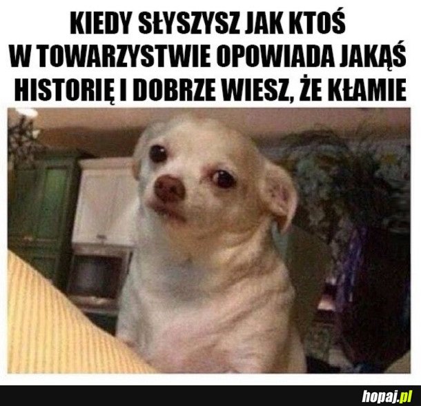 SERIO ZIOMEK?