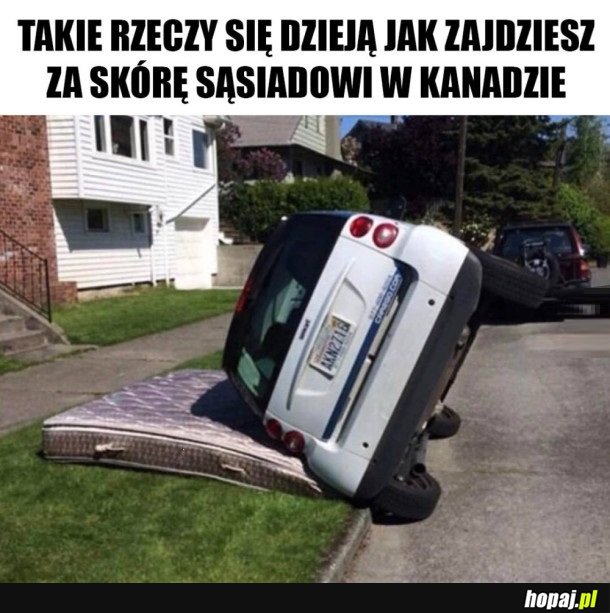 PRZERAŻAJĄCA ZEMSTA