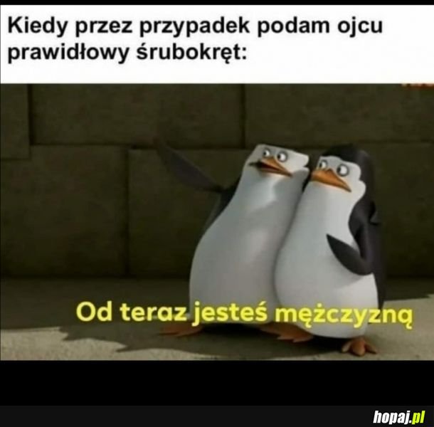 Tymczasem urodziłaś się kobietą