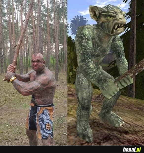 Ork na żywo