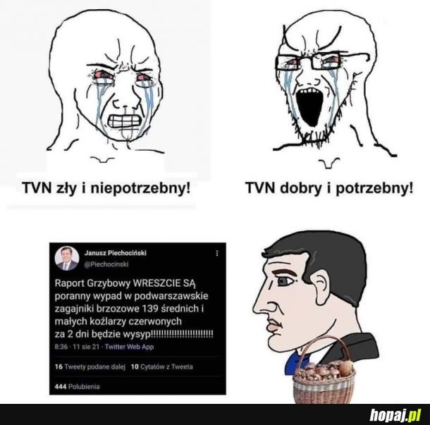 Ah yes, grzybki