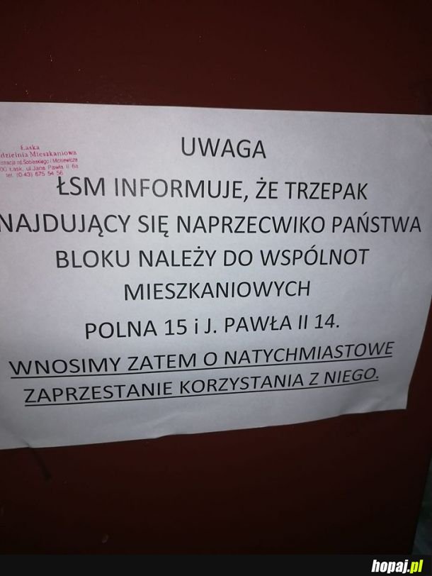 Zakaz trzepania