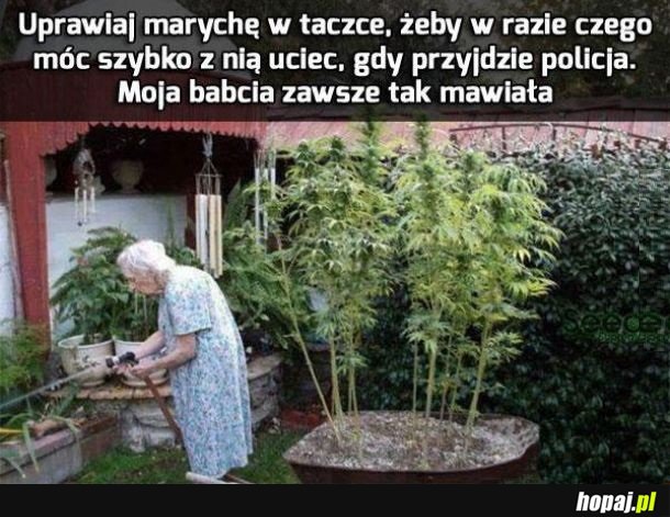 Babcia wie, co mówi