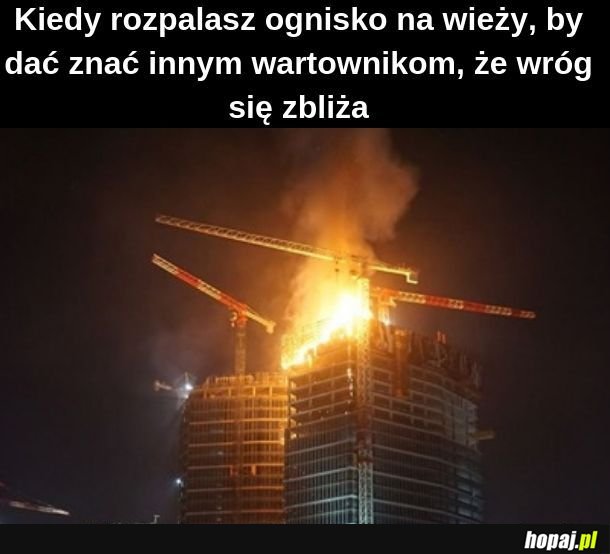 A to idą geje na paradę 