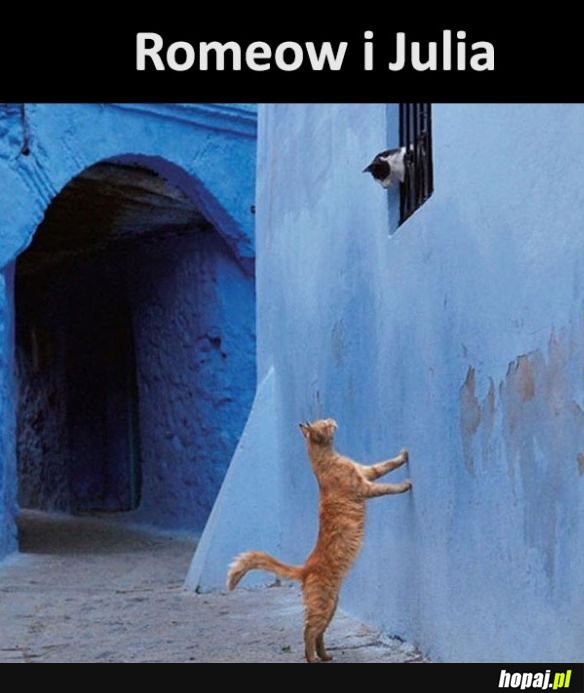 Romantyczna historia