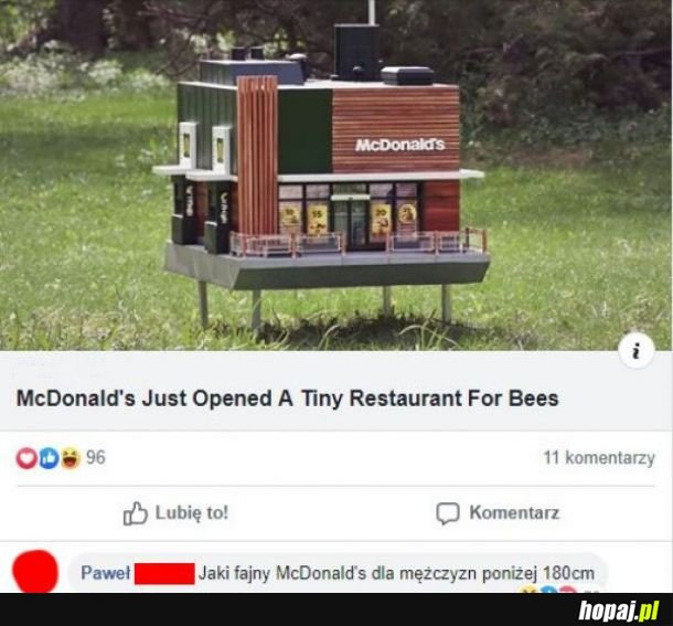 Fajny McDonald! 