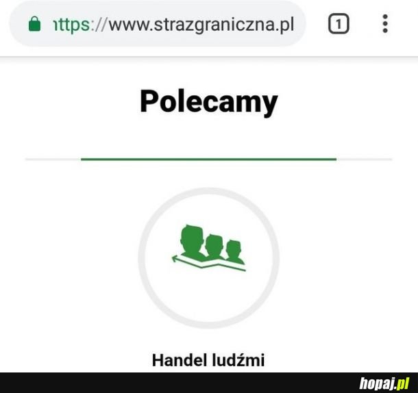 Polecamy 