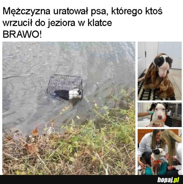 Dobry człowiek