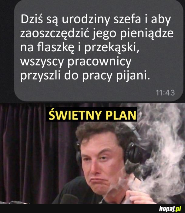 Świetny plan