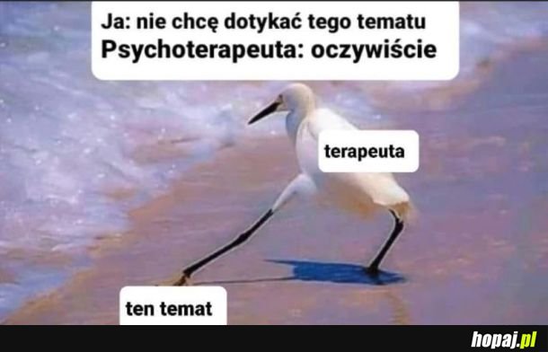 Psychoterapeuci