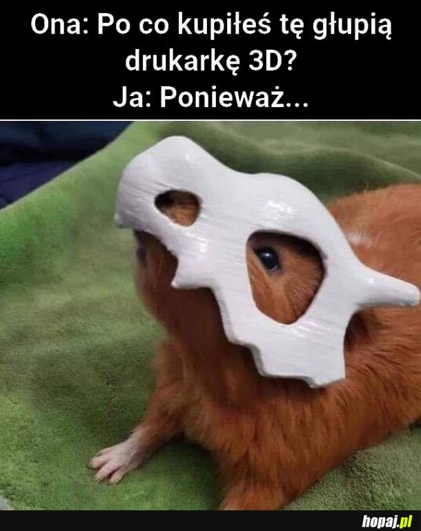 Drukarka 3D 