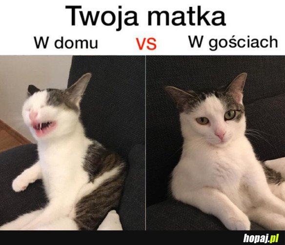 TWOJA MATKA W GOŚCIACH