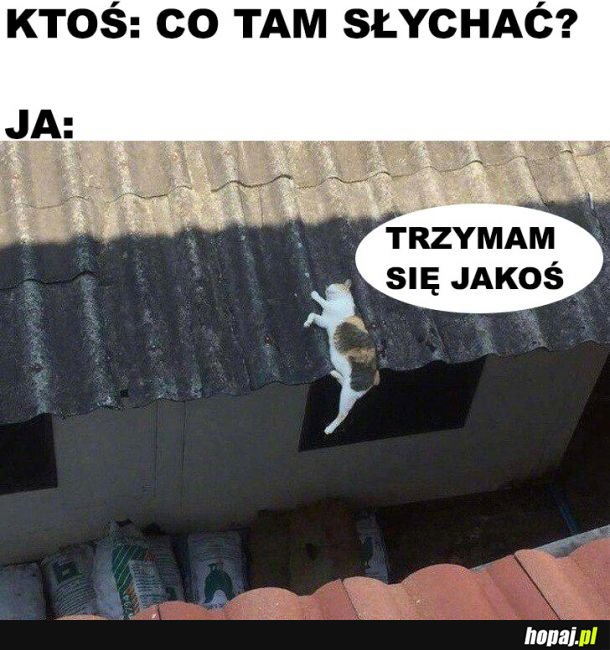  Ledwo, ale się trzymam 