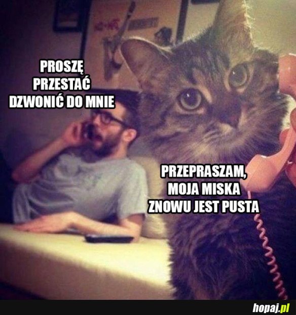 PROSZĘ NIE DZWONIĆ