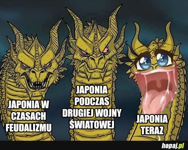 Japonia