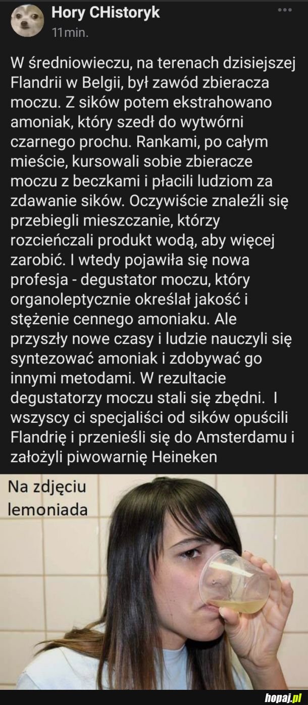 Ciekawostka na dziś