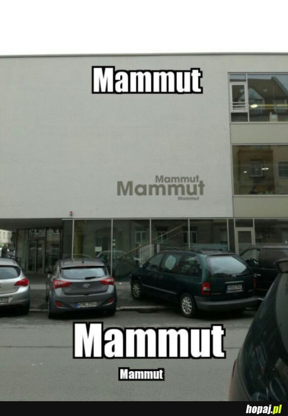 MAMUT