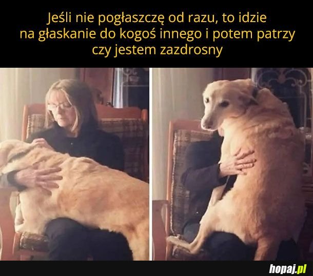 Obraza